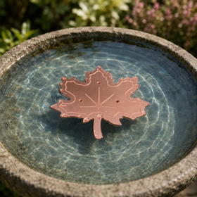 Maple leaf