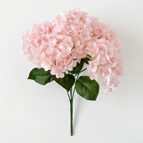 Soft Pink