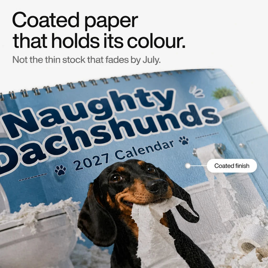 Naughty Dachshunds Dog Wall Calendar