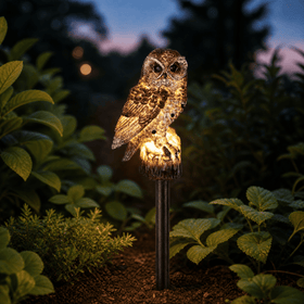Forest Brown Owl
