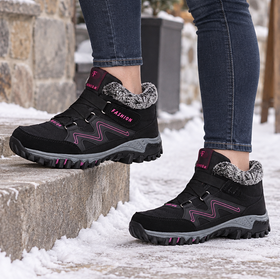Black Fuchsia