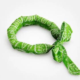 Green Paisley