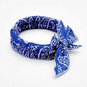 Blue Paisley
